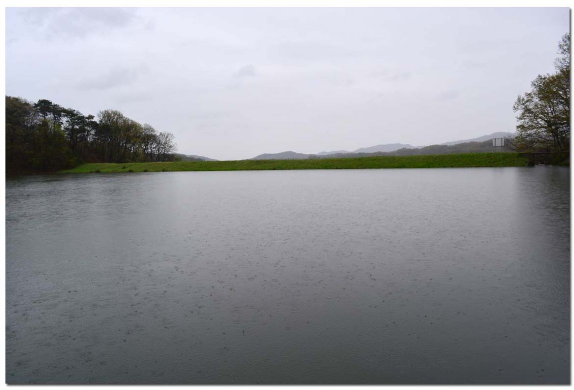 Untitled-14copy 5.jpg