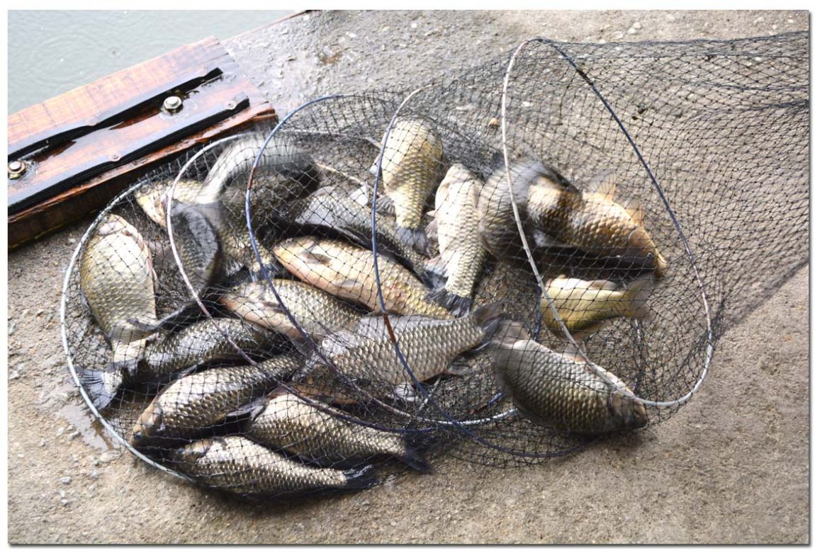 Untitled-16copy 2.jpg