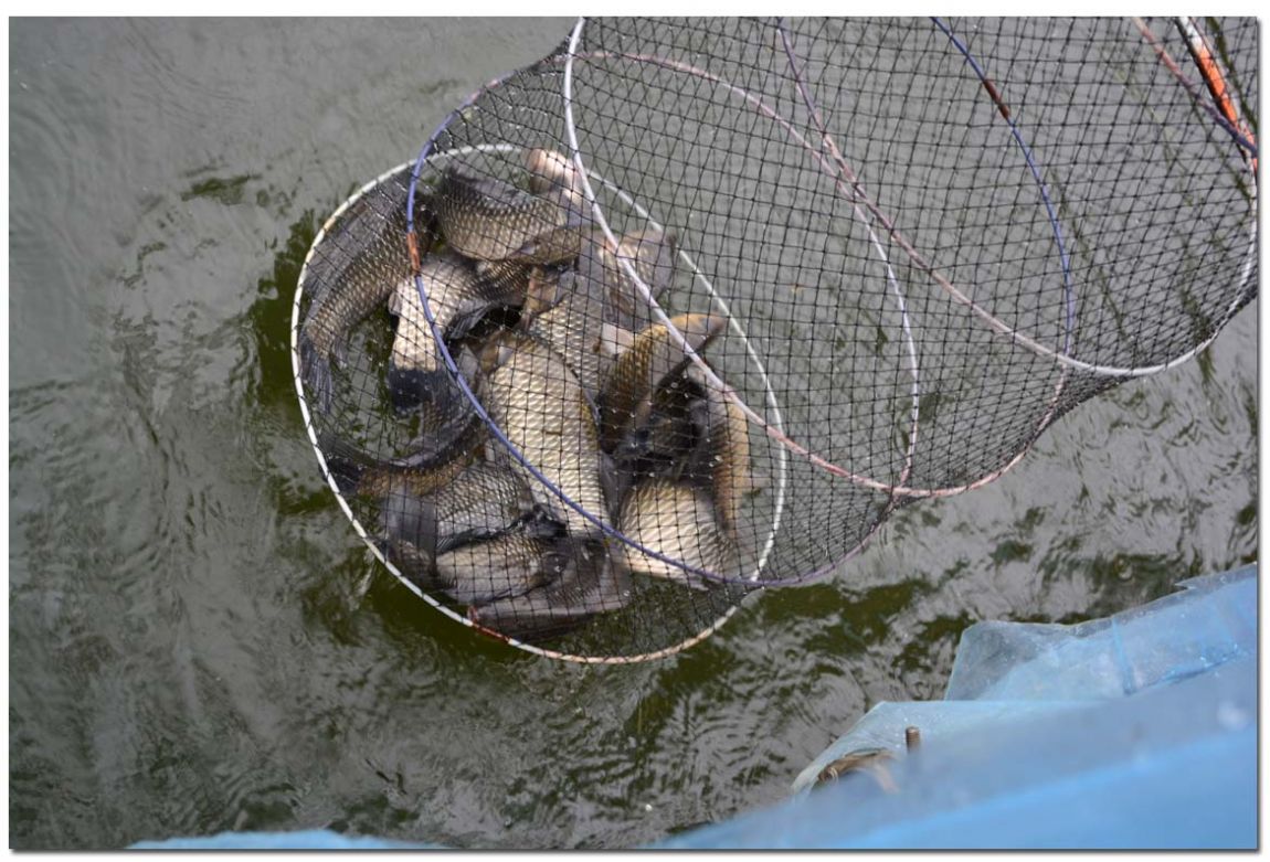 Untitled-15copy 4.jpg