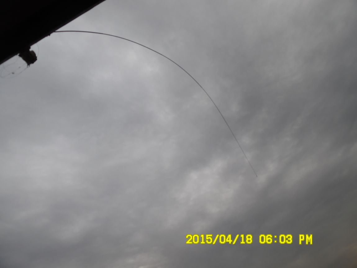 419 011.JPG