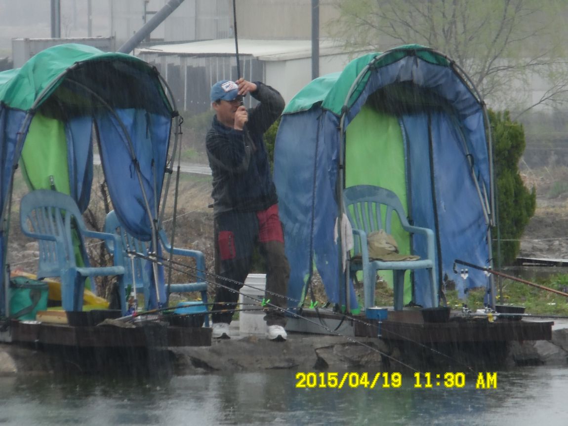 419 046.JPG