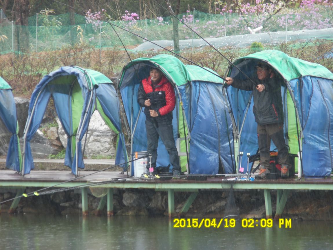 419 051.JPG