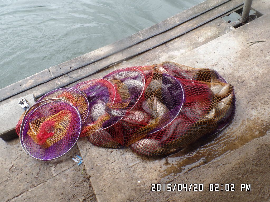 SAM_5526.JPG