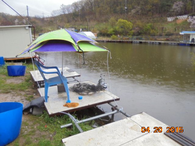 DSC01345.JPG