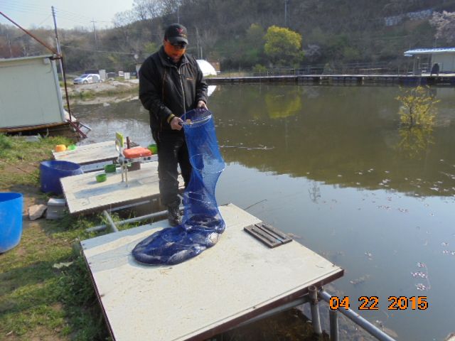 DSC01366.JPG