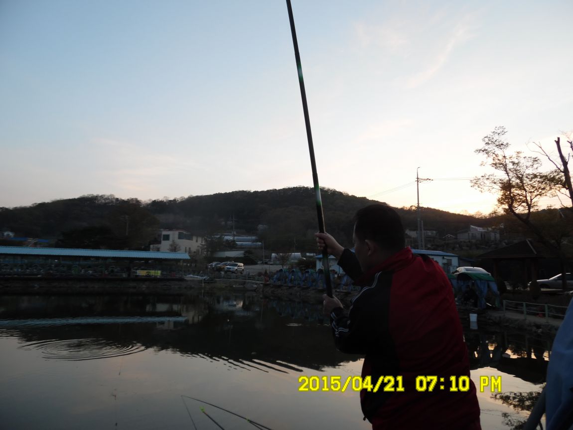 21 006.JPG