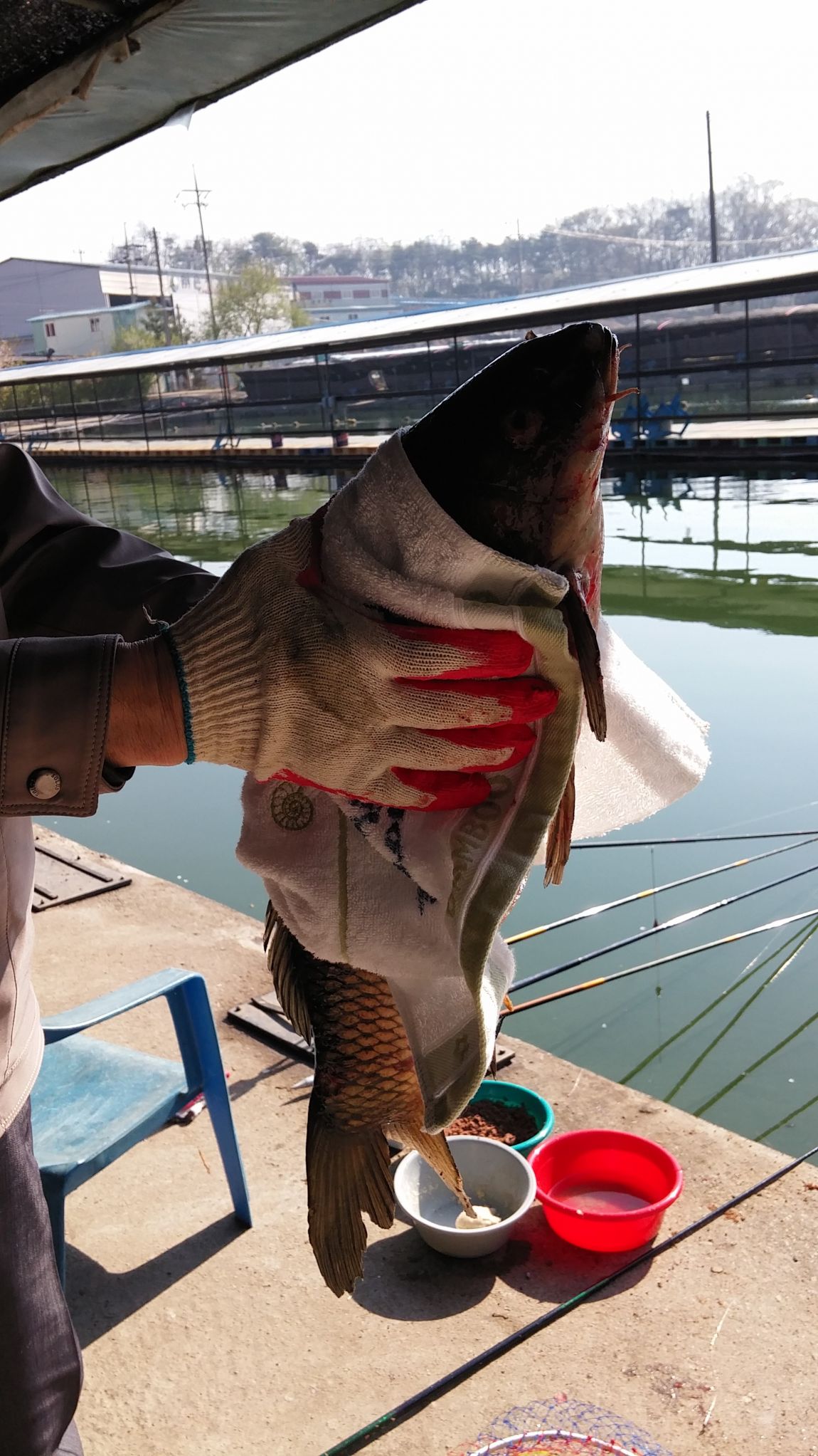 20150421_085927.jpg
