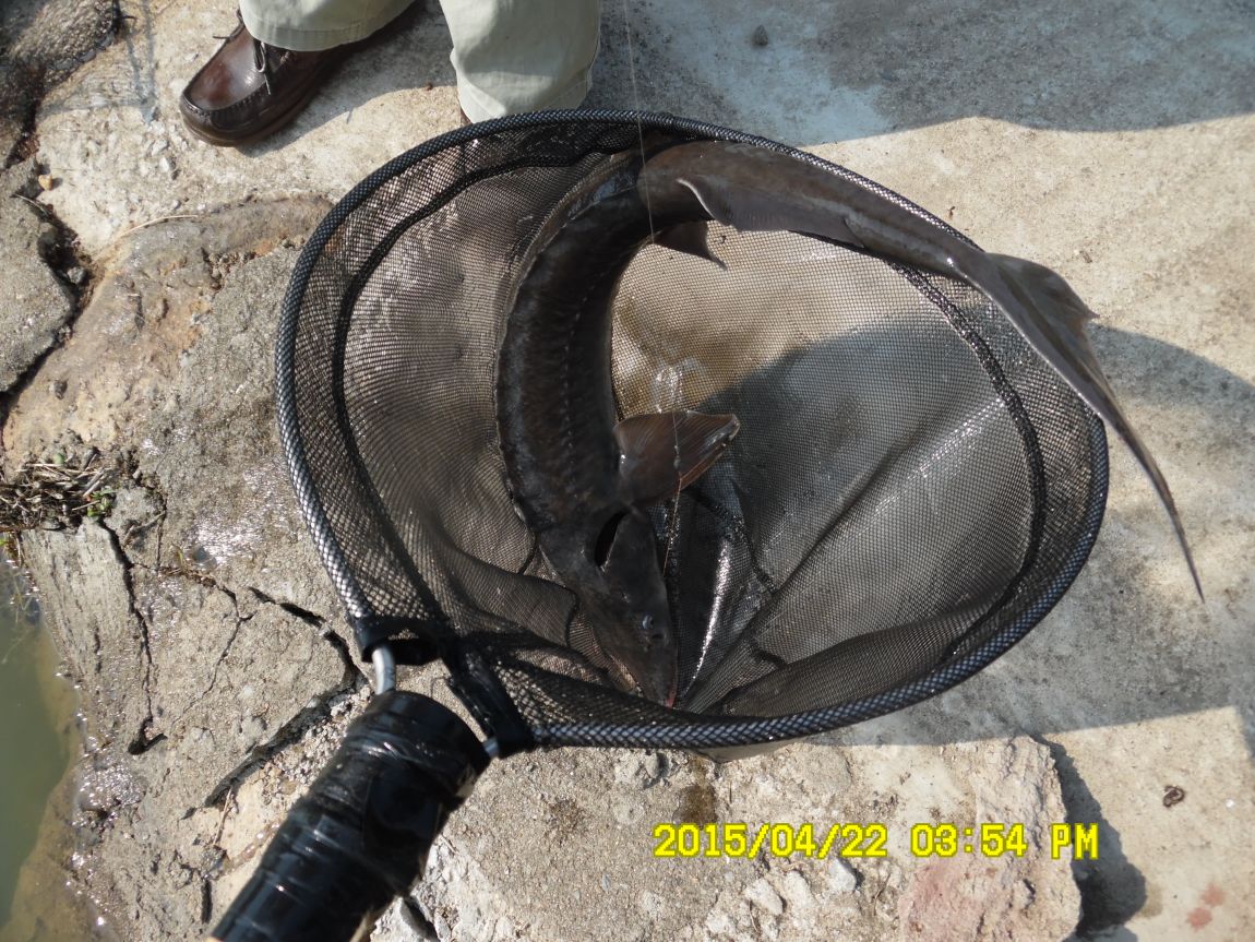 21�� 040.JPG