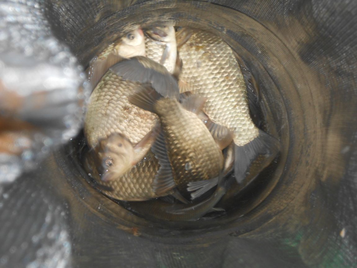 DSCN3388.JPG