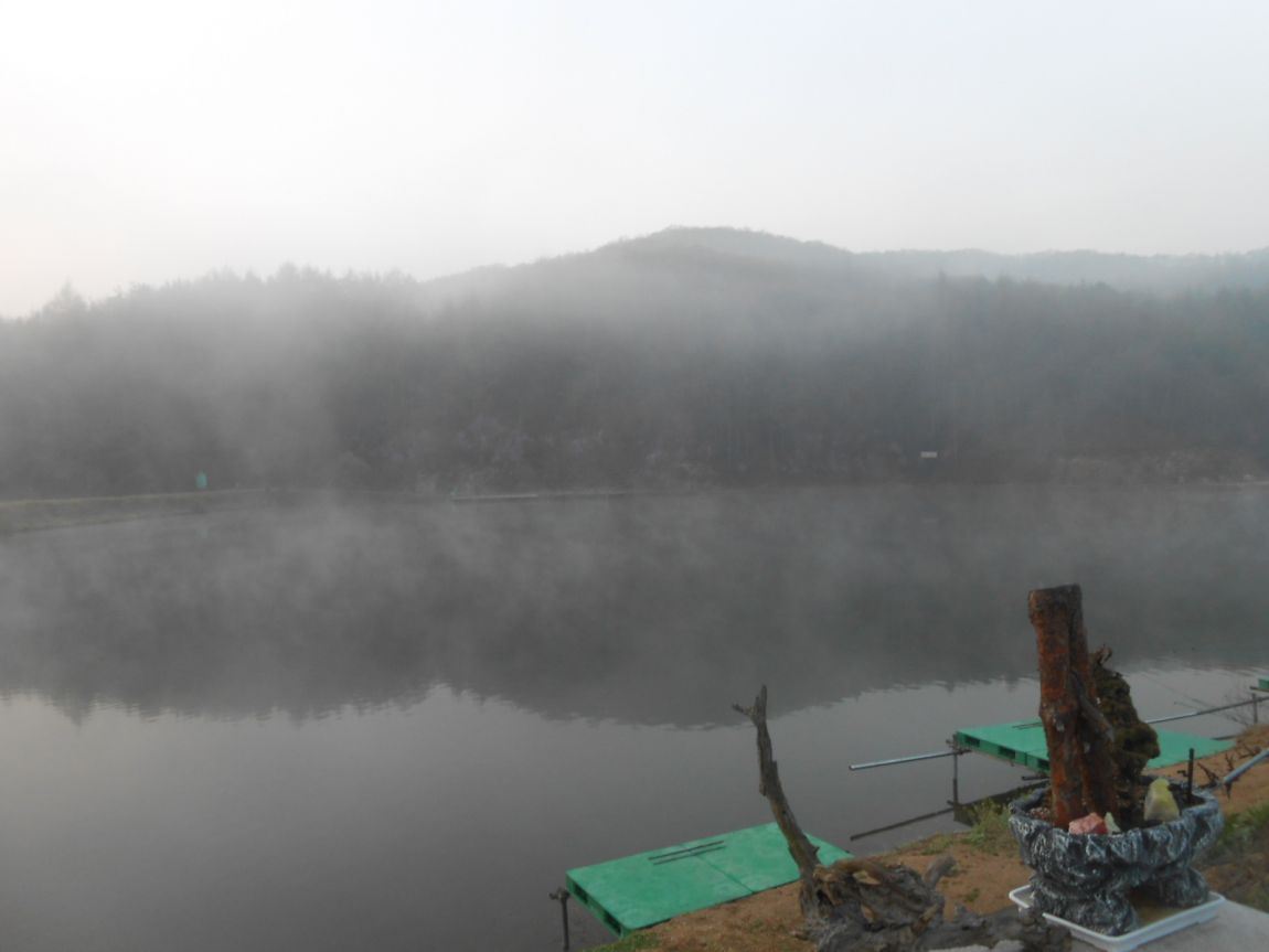 DSCN3389.JPG