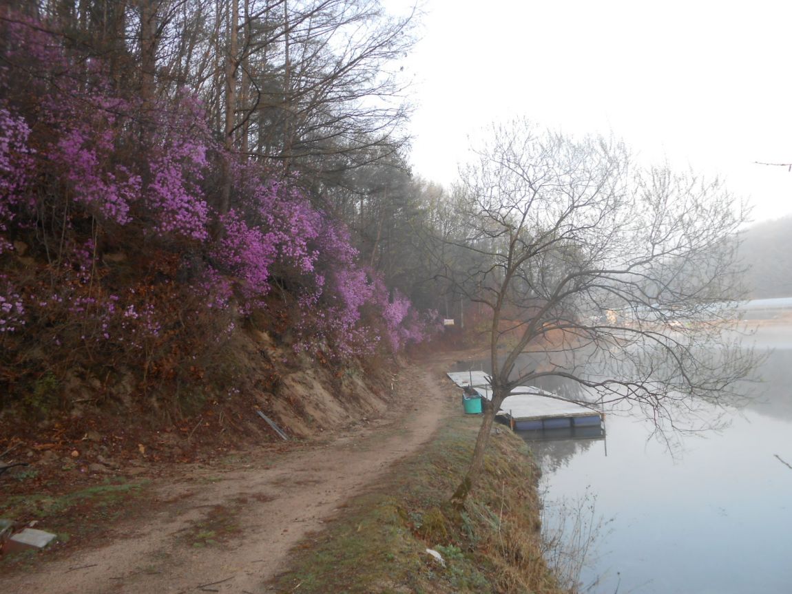 DSCN3396.JPG