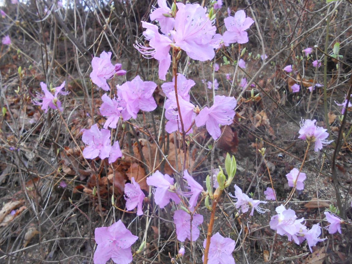 DSCN3398.JPG