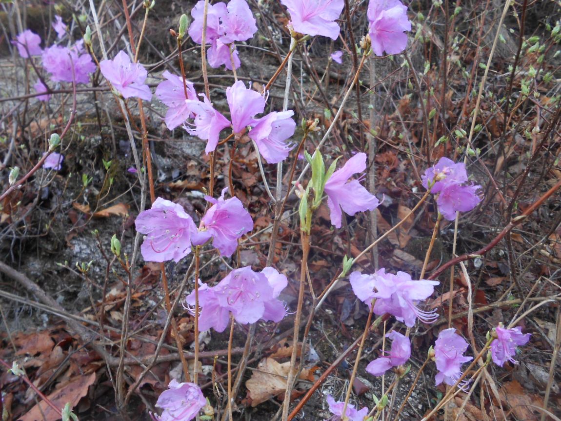 DSCN3397.JPG