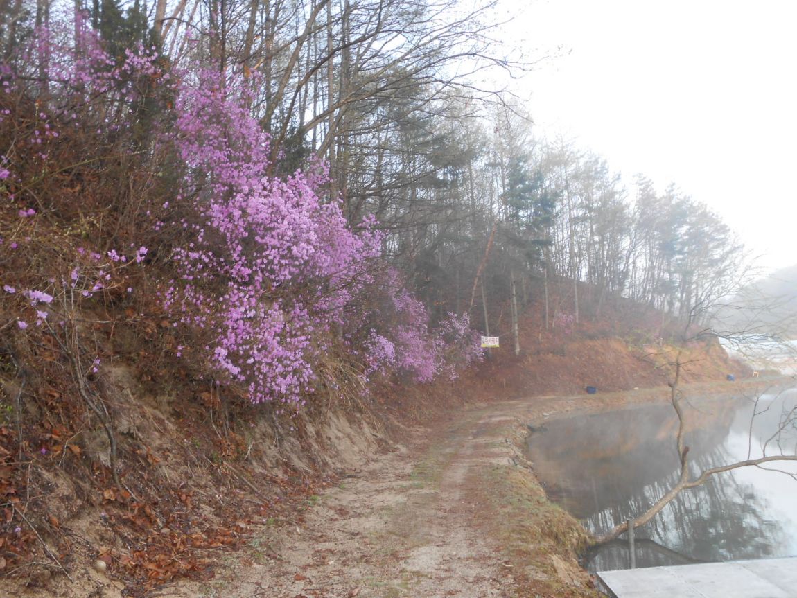 DSCN3399.JPG
