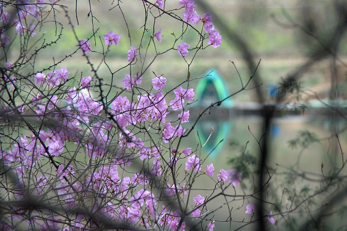 DSC08903.jpg