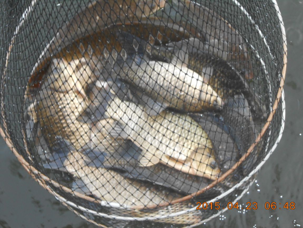 DSCN3407.JPG