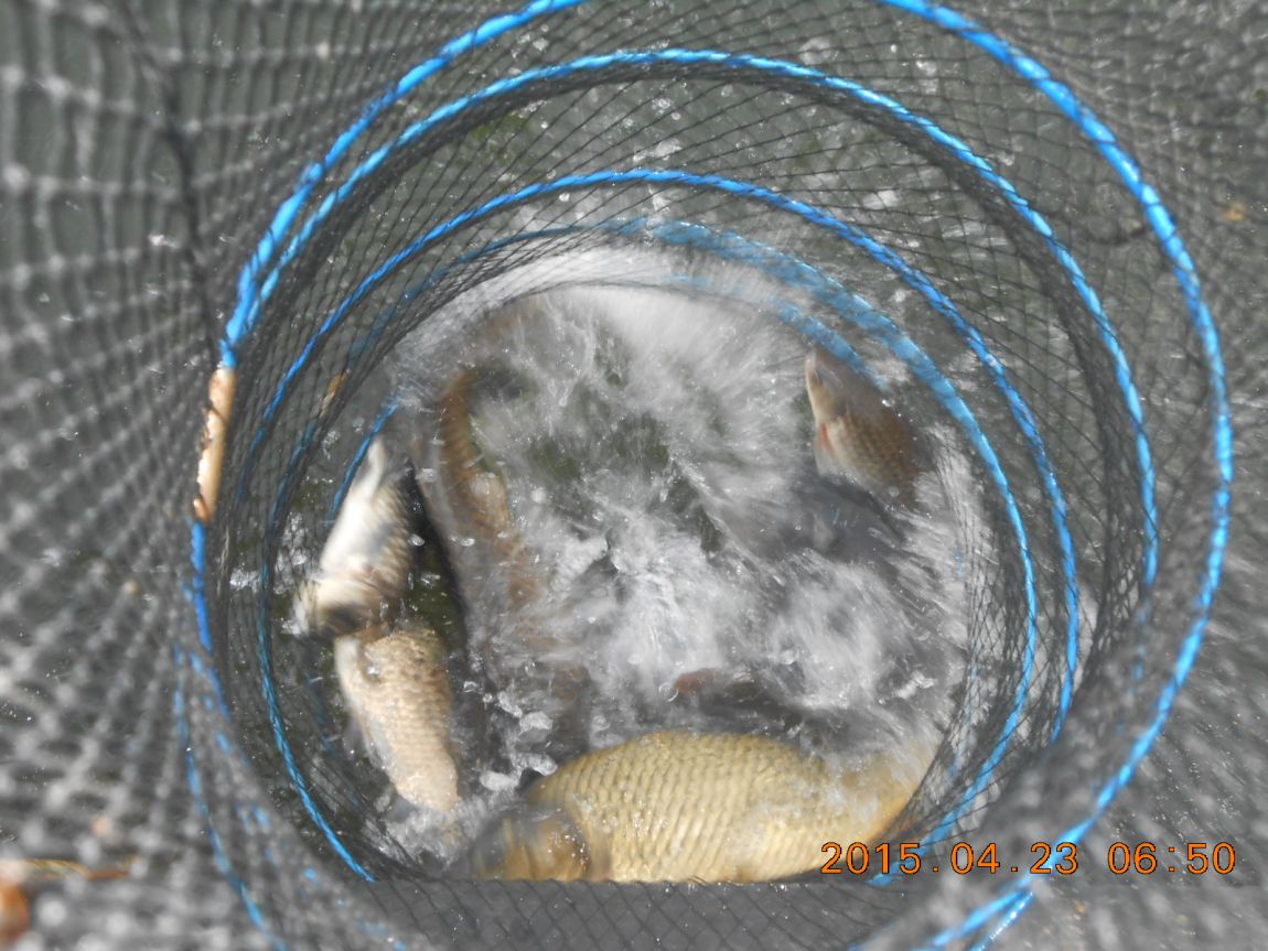 DSCN3409.JPG