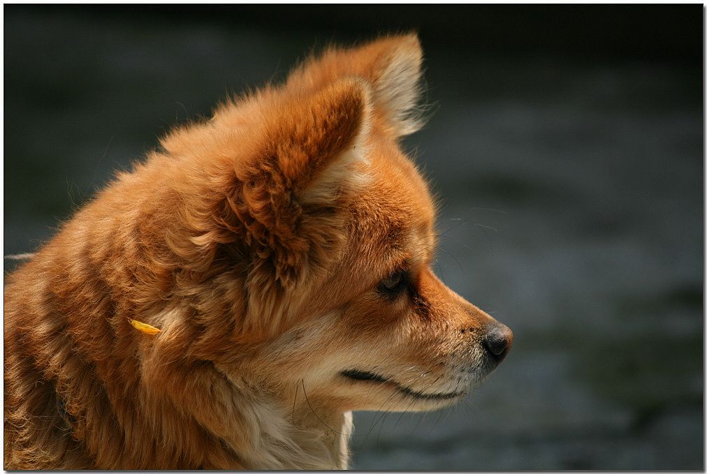 4��9�� 118.jpg