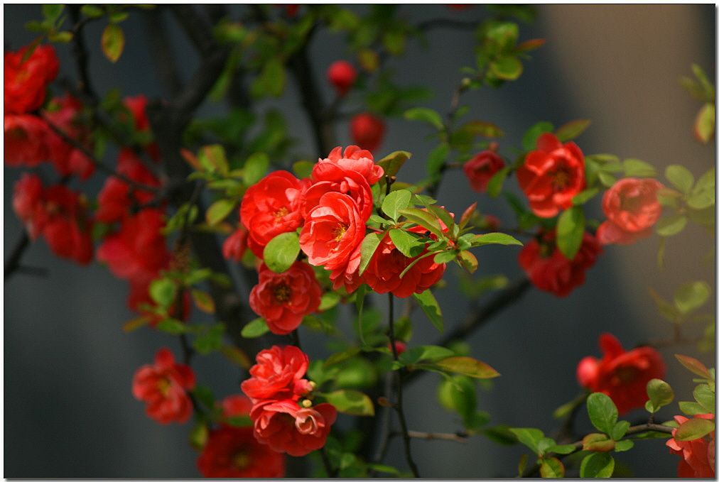 4��9�� 137.jpg