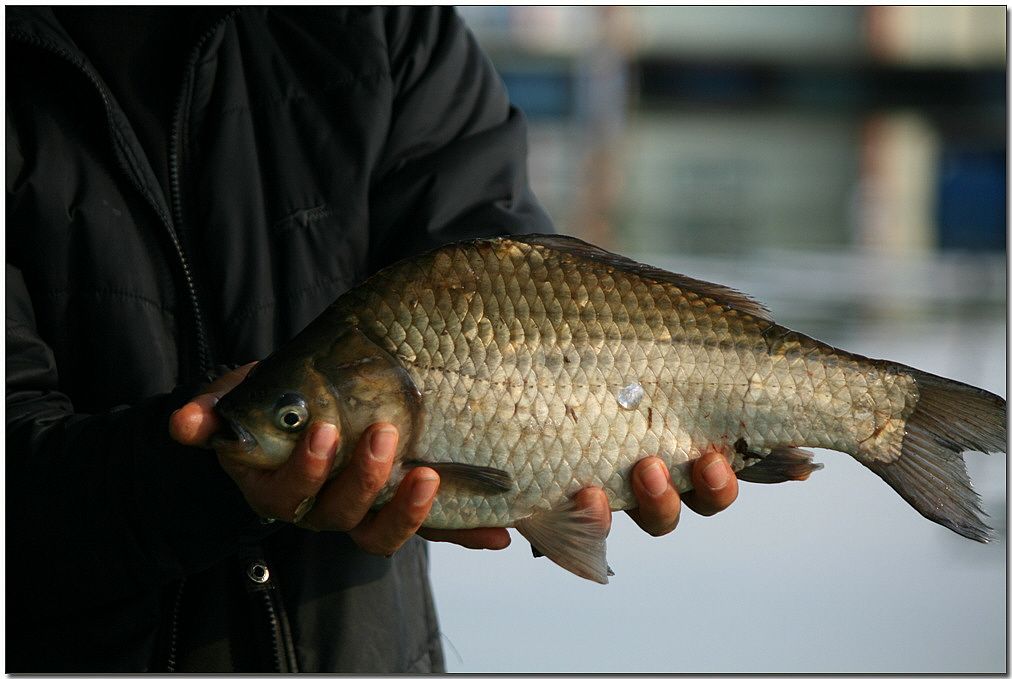 4��9�� 177.jpg