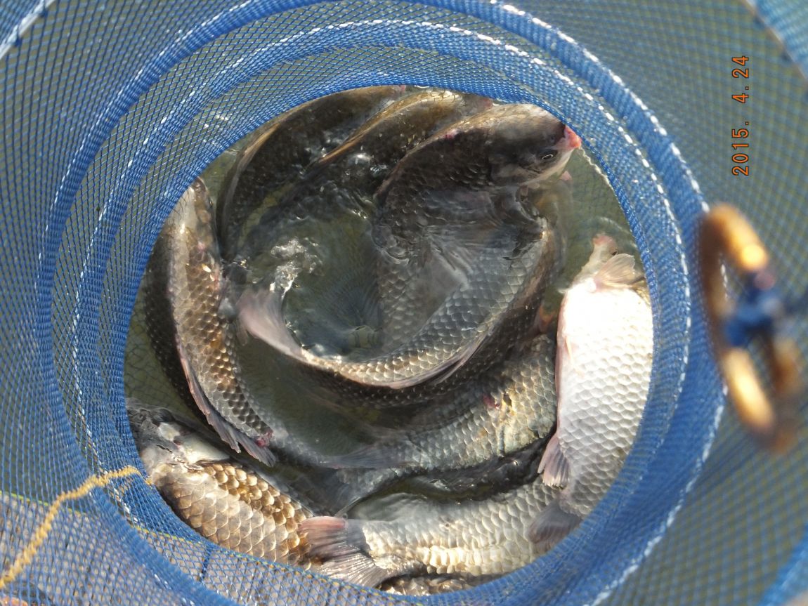 201300703 022.jpg