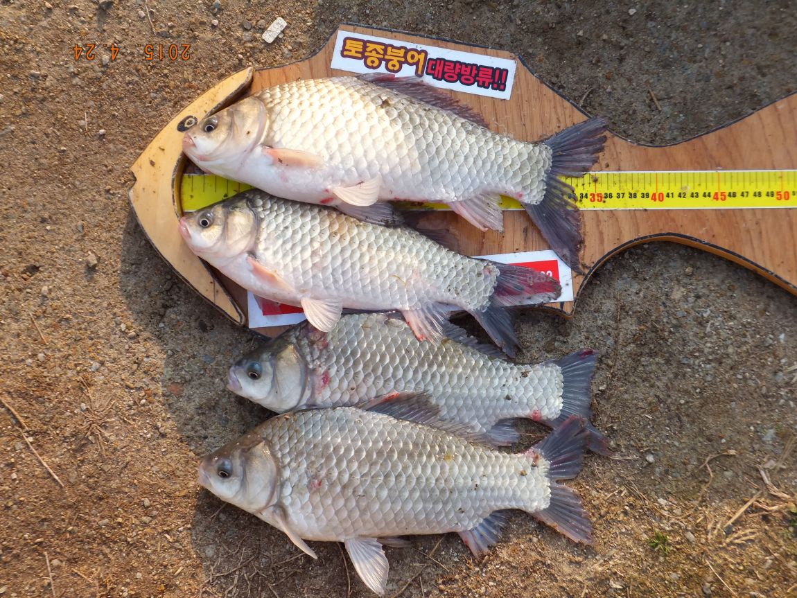 201300703 034.jpg