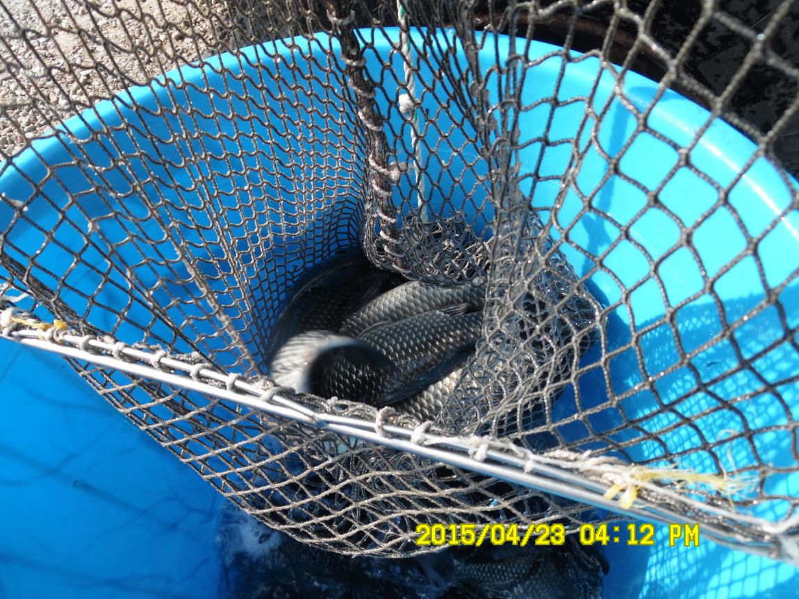 4��22�� 005.JPG