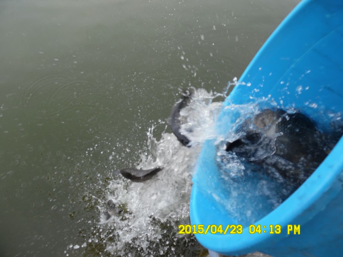 4��22�� 007.JPG