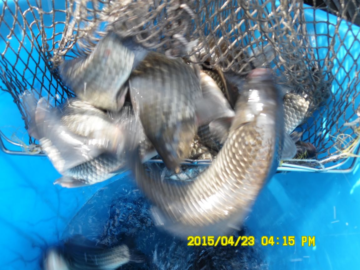 4��22�� 010.JPG