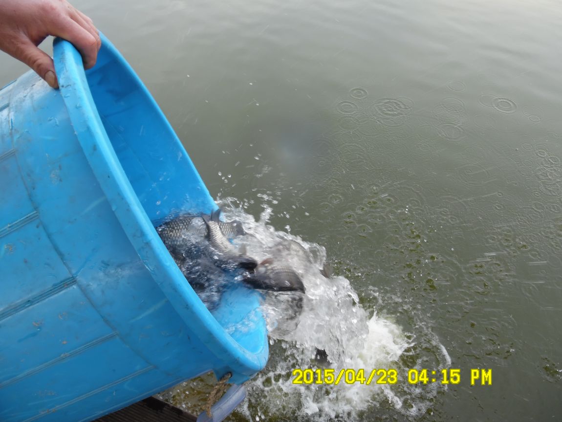 4��22�� 012.JPG