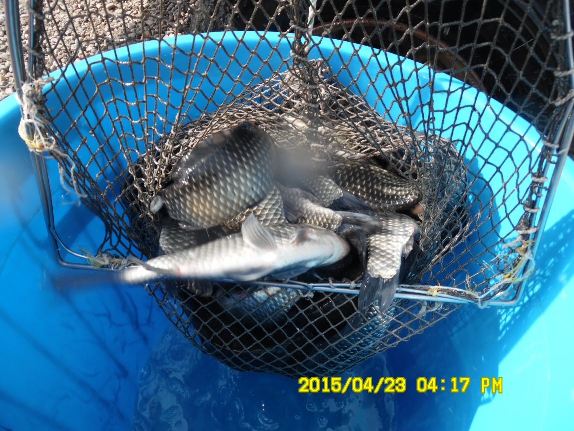 4��22�� 015.JPG