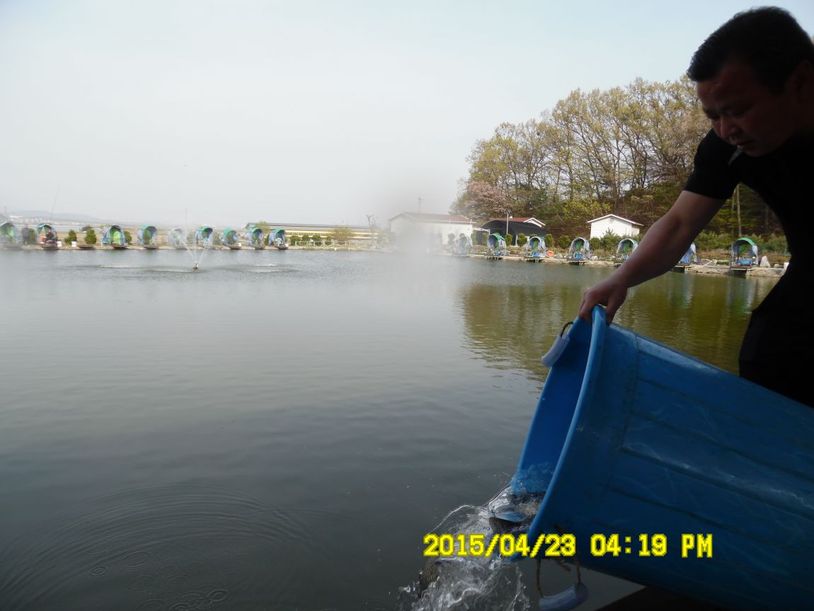 4��22�� 018.JPG