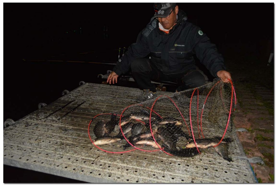 Untitled-2 copy 3.jpg