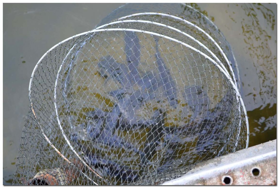 Untitled-2 copy 6.jpg