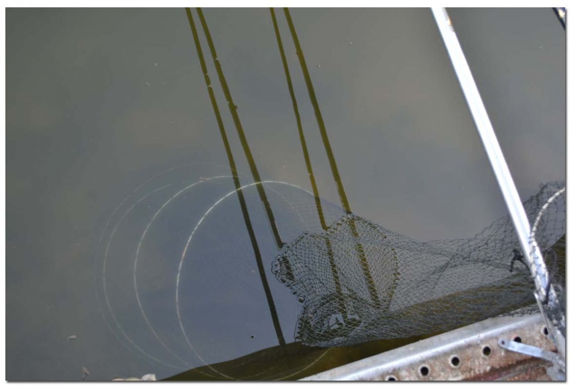 Untitled-2 copy 5.jpg