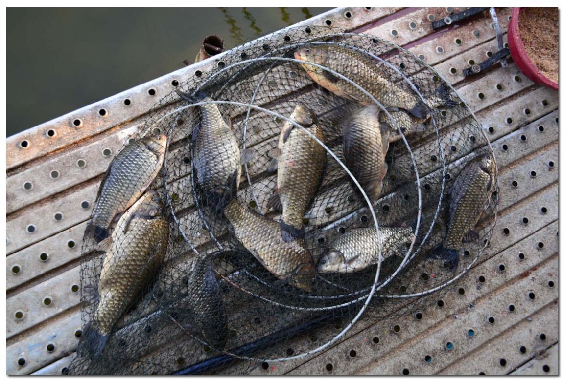 Untitled-2 copy 7.jpg