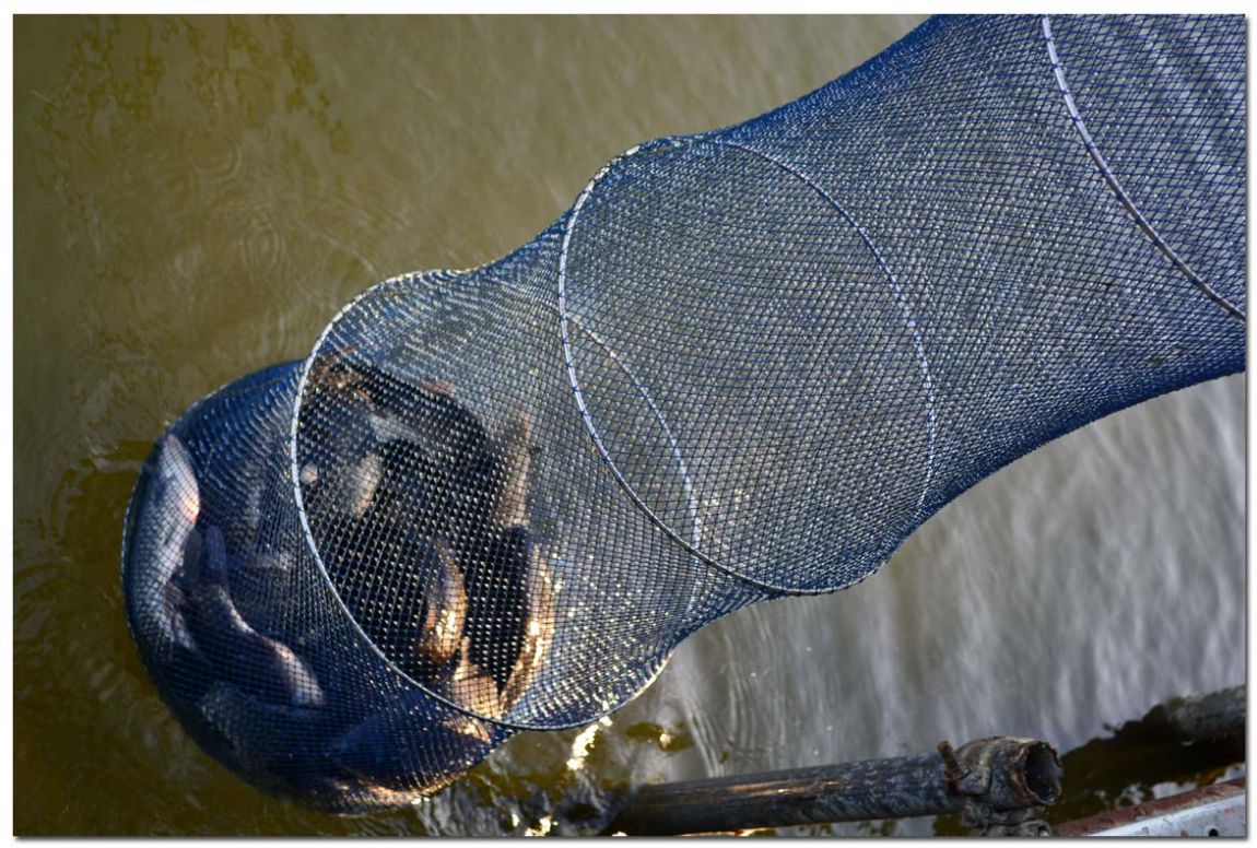 Untitled-2 copy 8.jpg