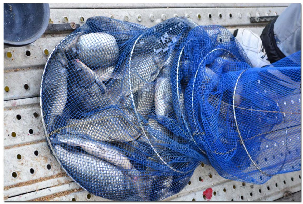 Untitled-2 copy 10.jpg