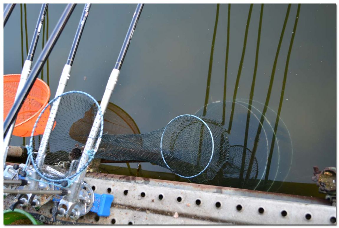 Untitled-2 copy 11.jpg