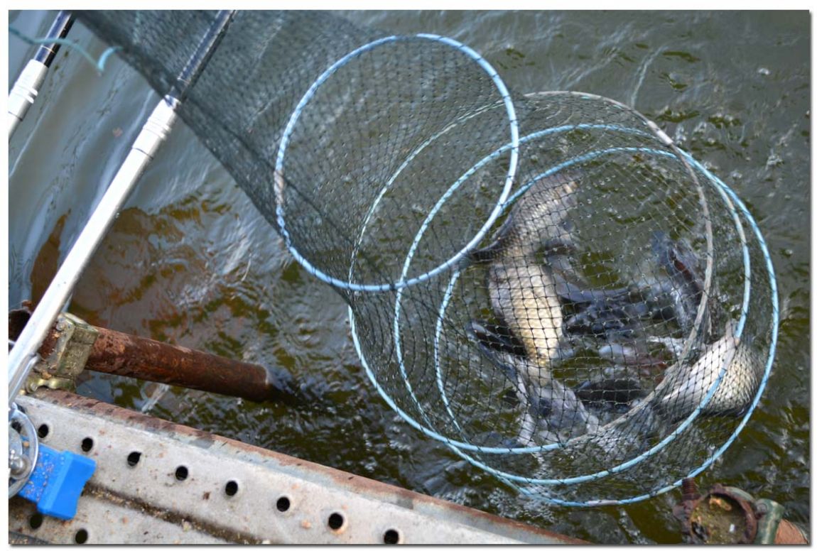 Untitled-2 copy 12.jpg