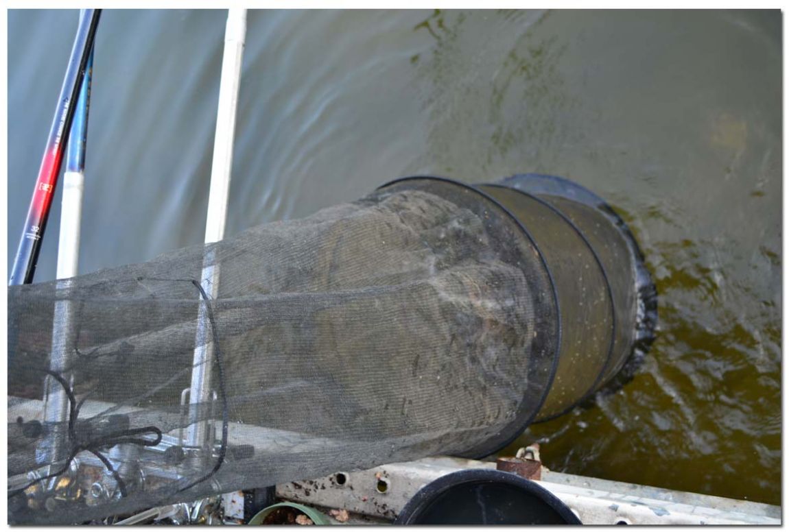 Untitled-2 copy 13.jpg