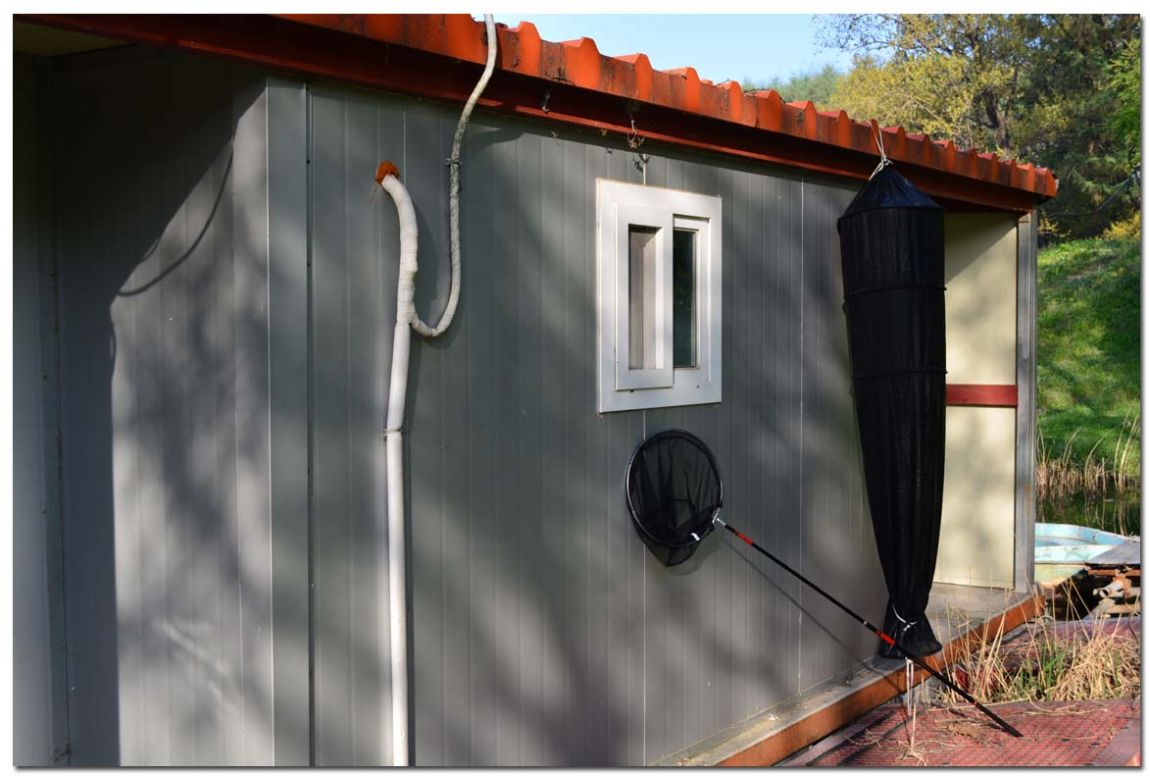 Untitled-2 copy 16.jpg