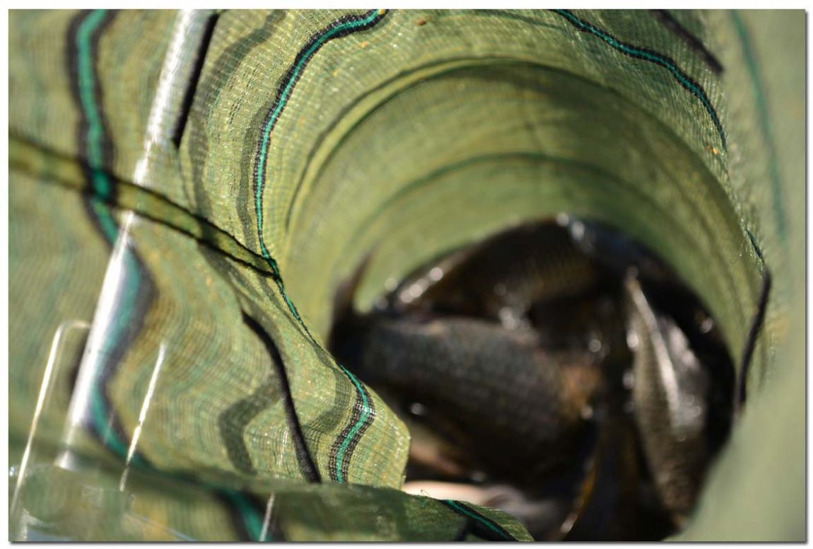 Untitled-2 copy 17.jpg