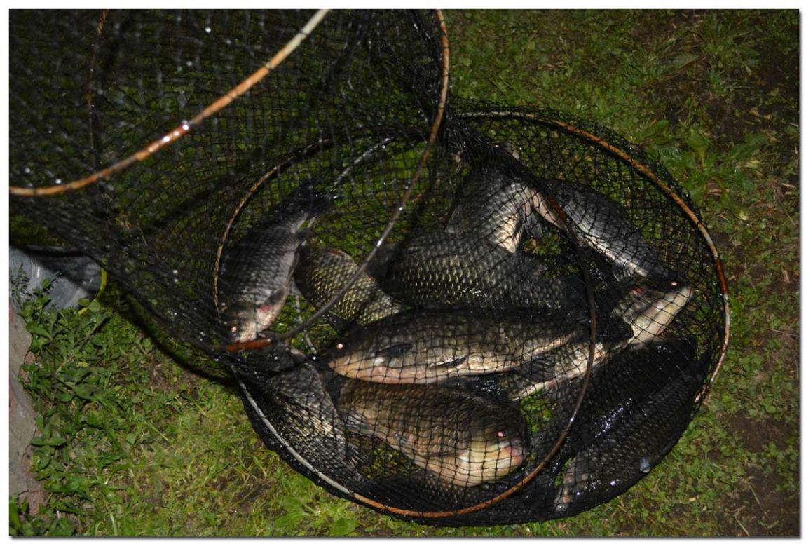 Untitled-2 copy.jpg2.jpg