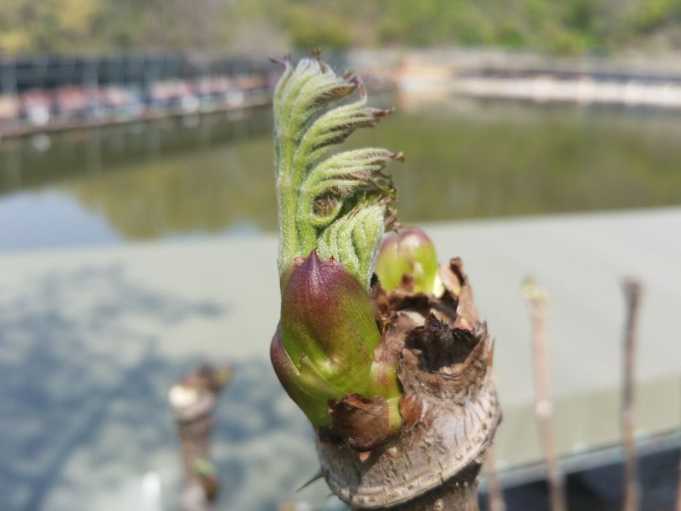 ũ⺯ȯ_20150425_110339.jpg