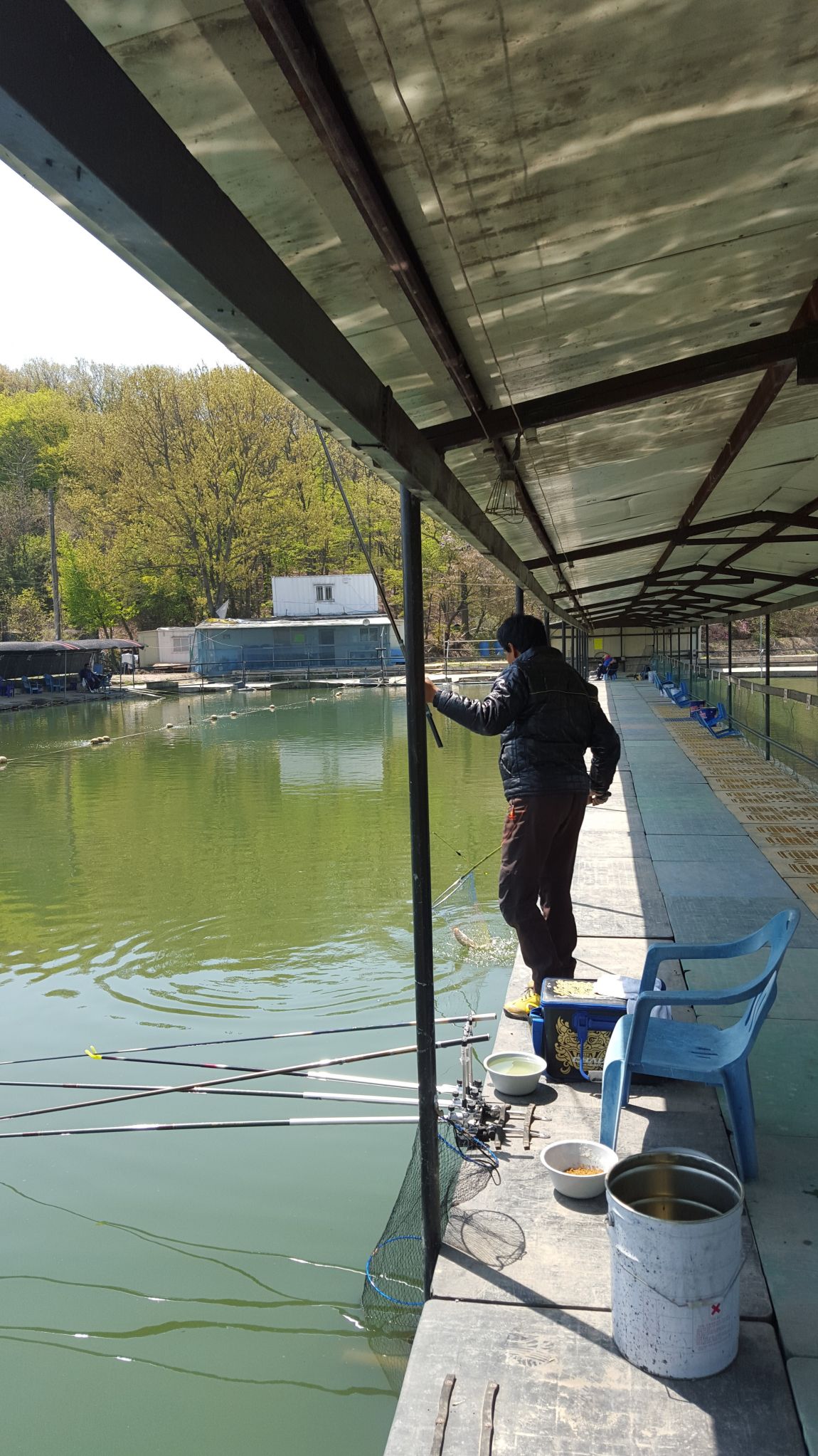 20150425_114001.jpg