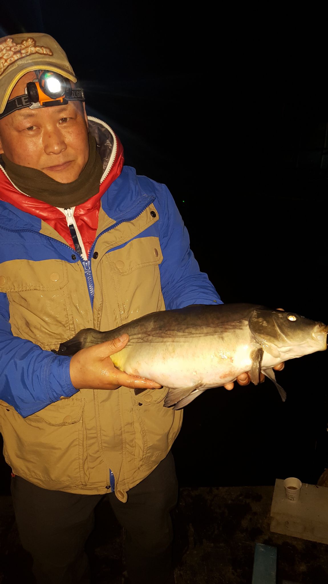 20150424_203831.jpg