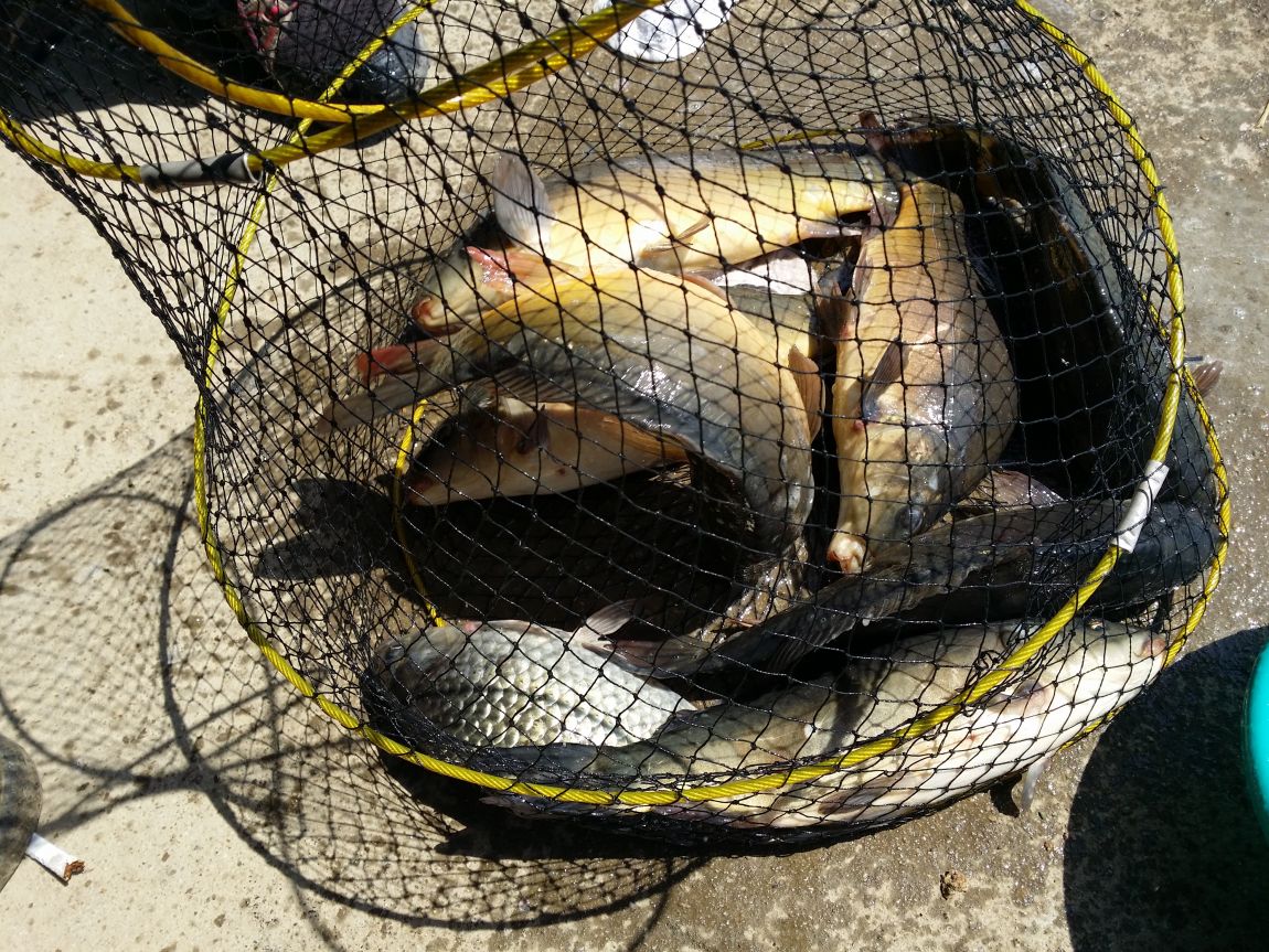 20150425_104437.jpg