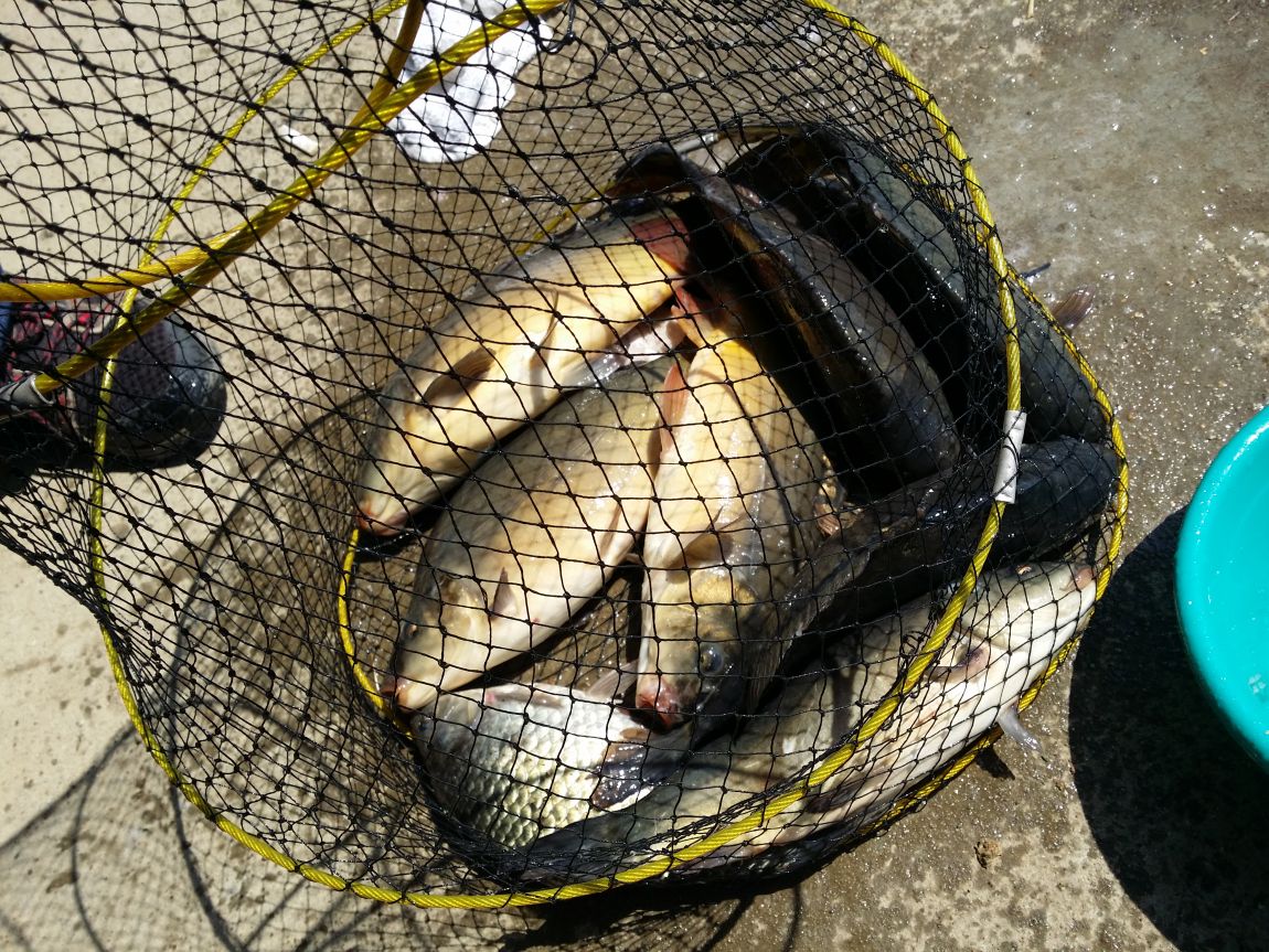 20150425_104441.jpg