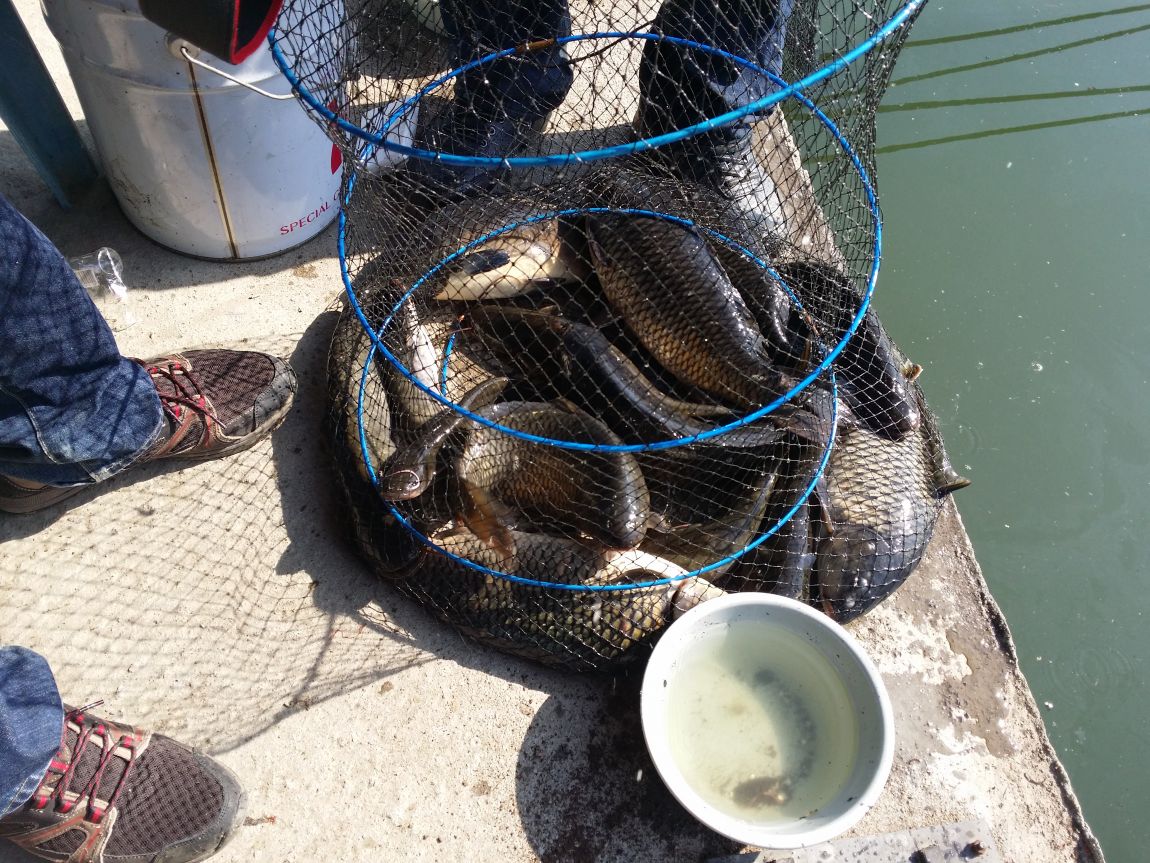 20150425_085256.jpg
